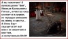 Классика жанра "Настоящего Страшного"