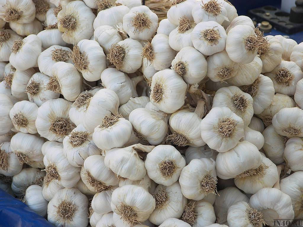 чесночный хаос))))