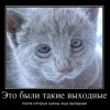 Таааакие выходные...
