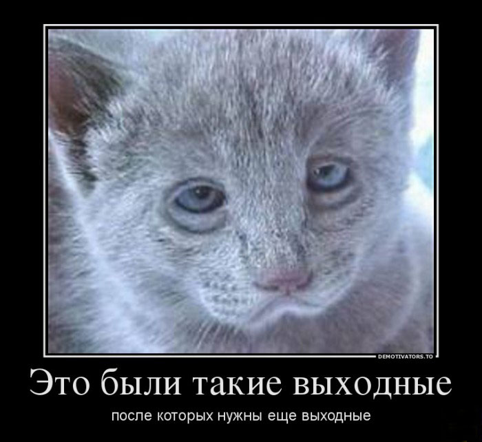 Таааакие выходные...