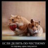 Если делить по-честному Если делить по-честному