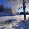 сказочная пора сказочная пора