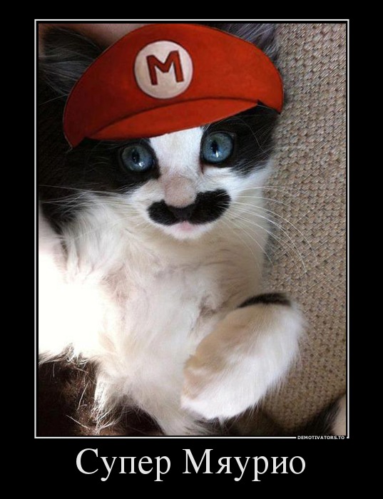 5950914 super-myaurio