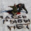 Здесь рыбы нет
