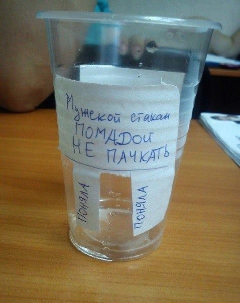 10398708 916246125075223 7315279464850188172 n