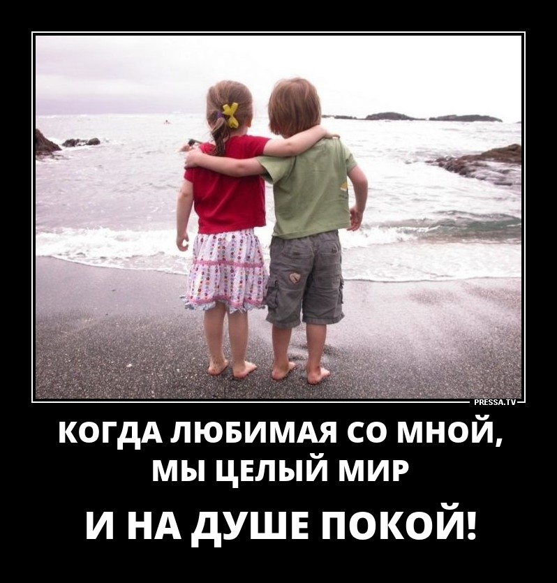 Мы, целый мир