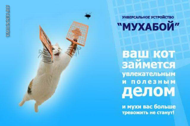 Мухабой