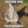 Узбагойся)))))) Узбагойся))))))