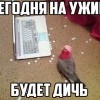 Дичь...