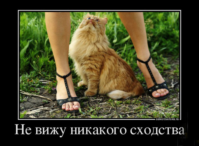 Никакого сходства