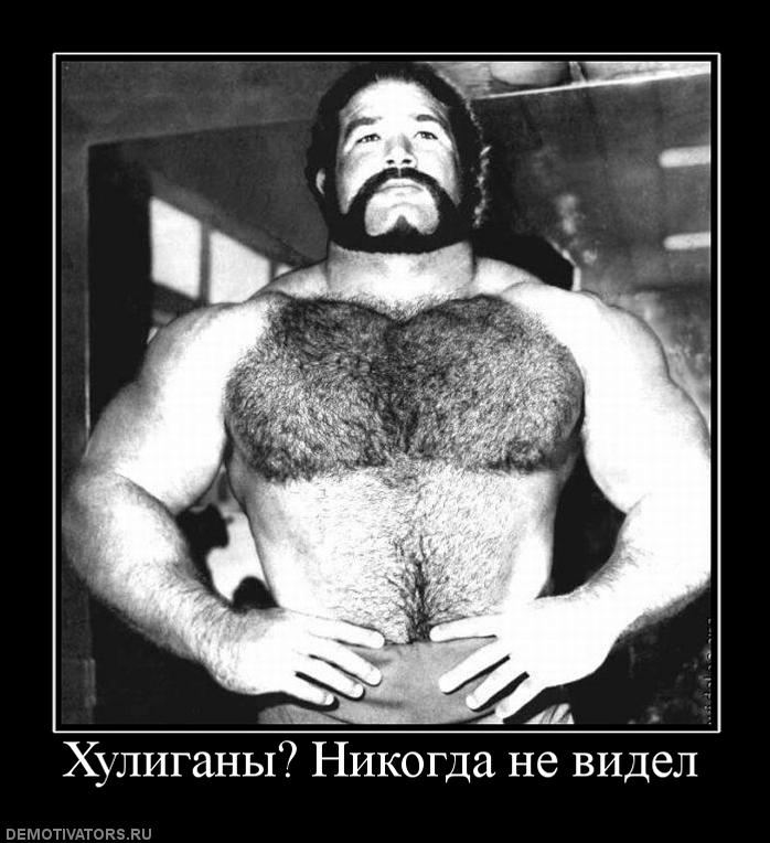 749047 huliganyi-nikogda-ne-videl
