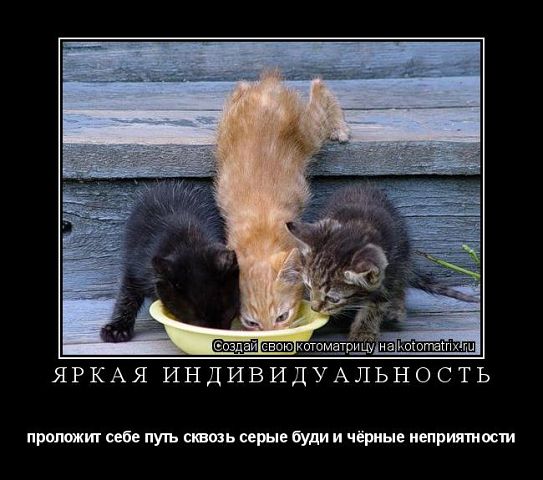 Золотая середина .... ))))