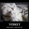 Этикет Этикет