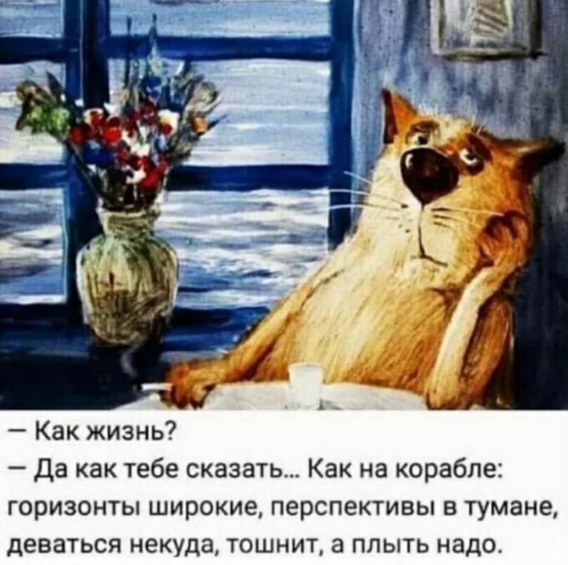 Жизнь