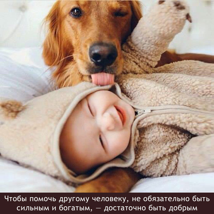 Доброта