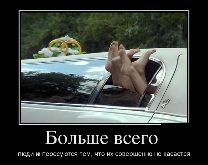 Больше всего люди интересуются...