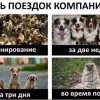 поездка с компанией