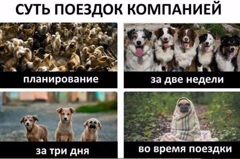 поездка с компанией
