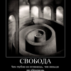Свобода Свобода