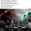 Шахматы