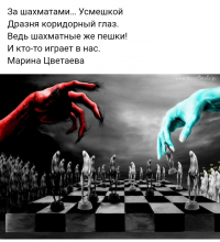 Шахматы