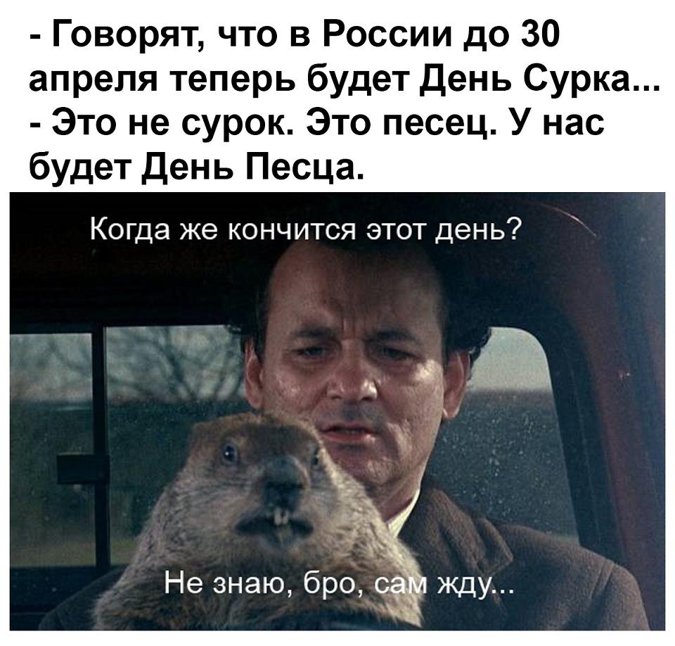 День Песца