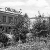 Некошеная трава у "Юности"