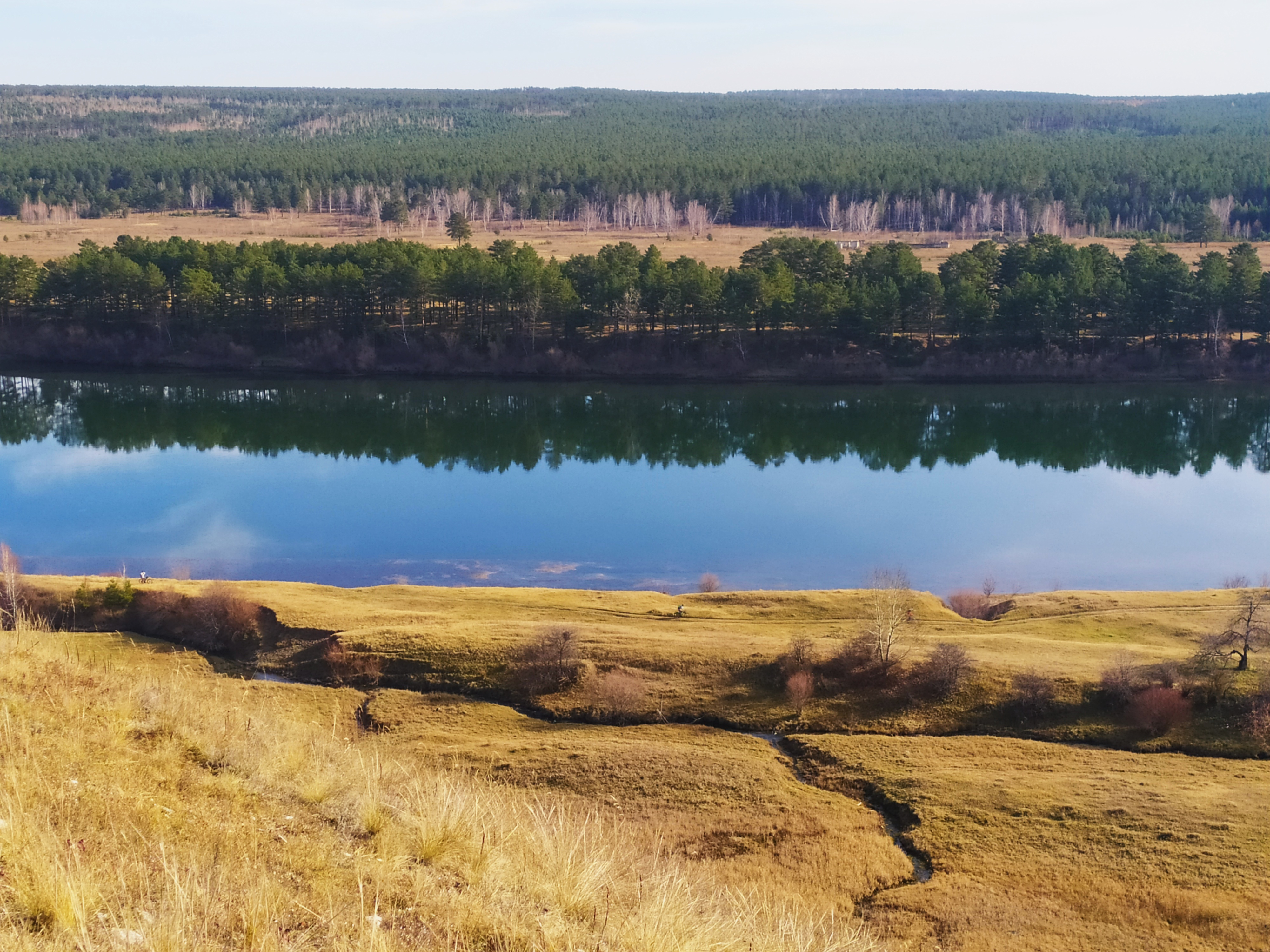 Белая осенью 