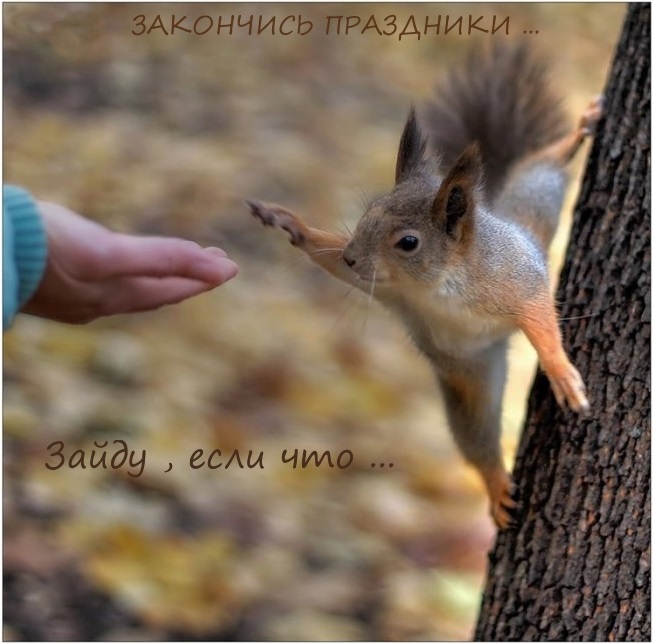 Закончились праздники
