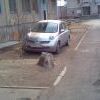 фестиваль бодиарта