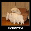 Перекличка Перекличка