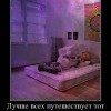Путешественник