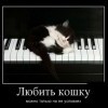 Любить кошку