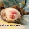 Выходные обожаю