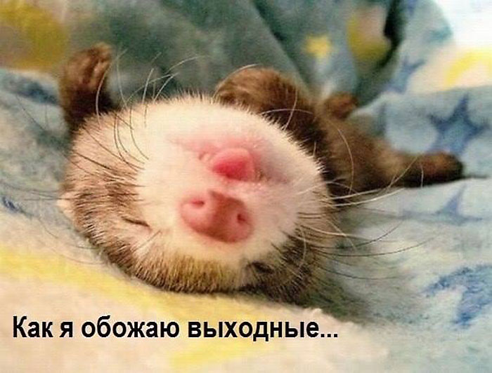 Выходные обожаю
