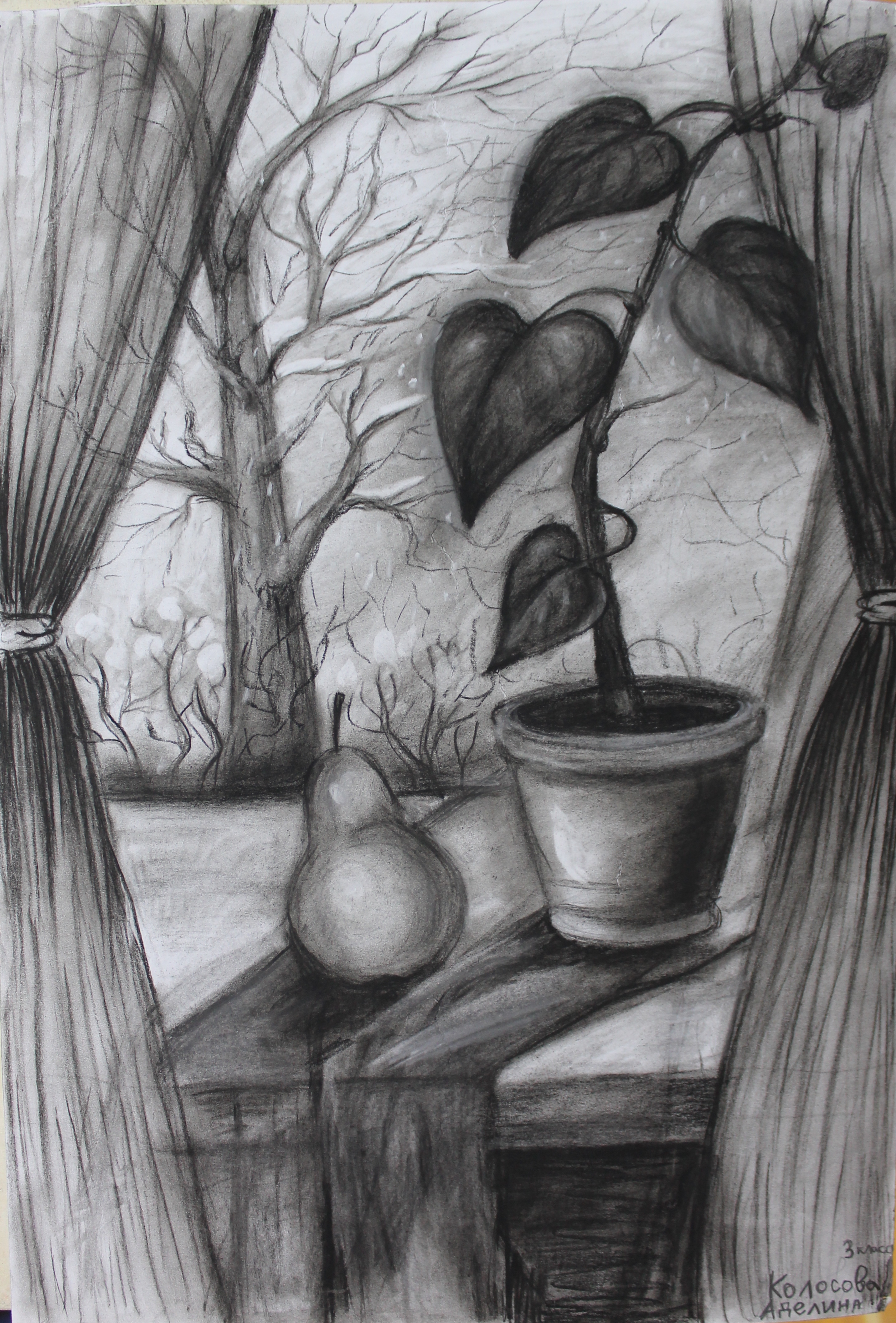 +Колосова Аделина.