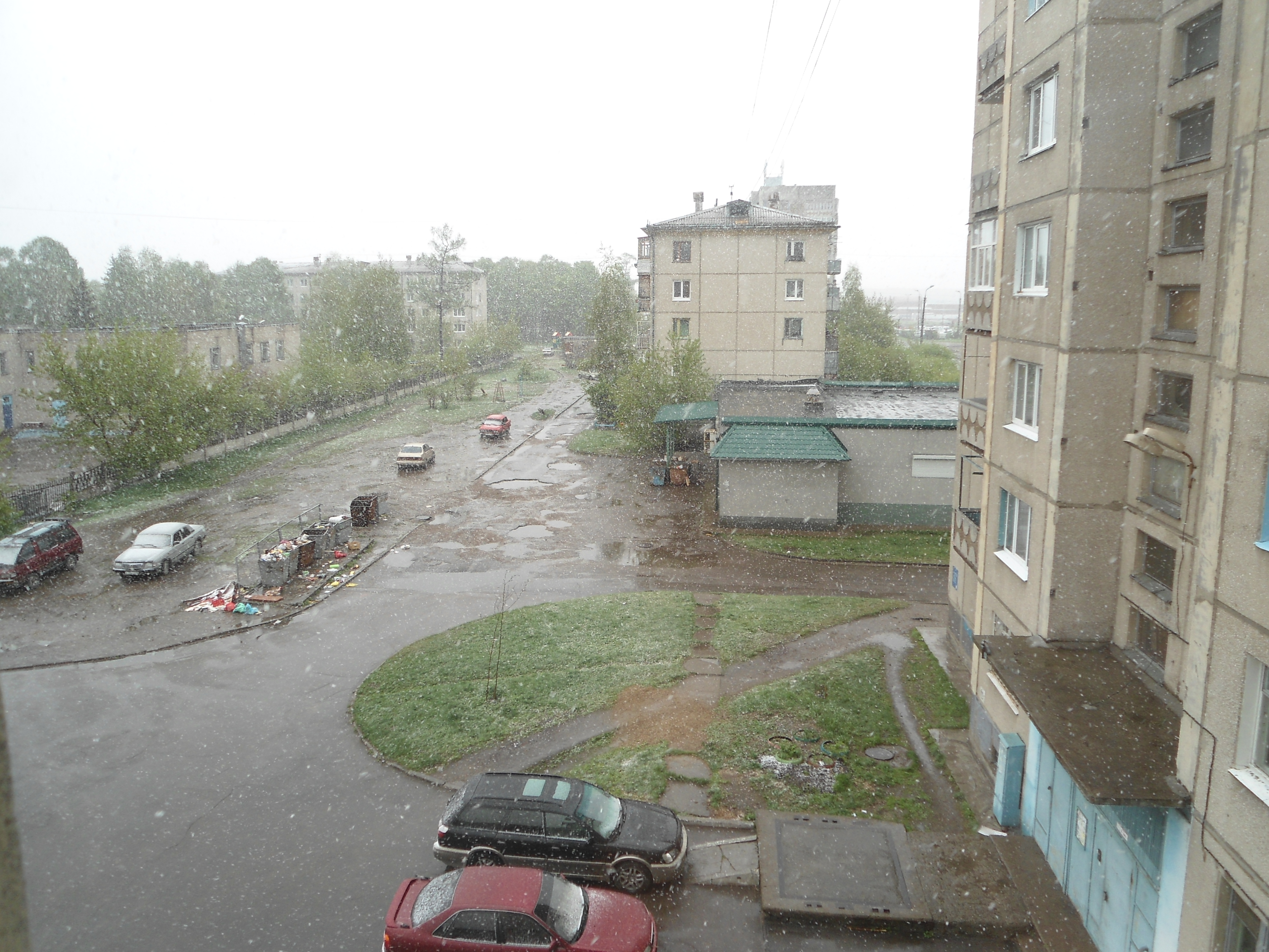 DSC00374