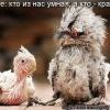 Угадайте.. Угадайте..