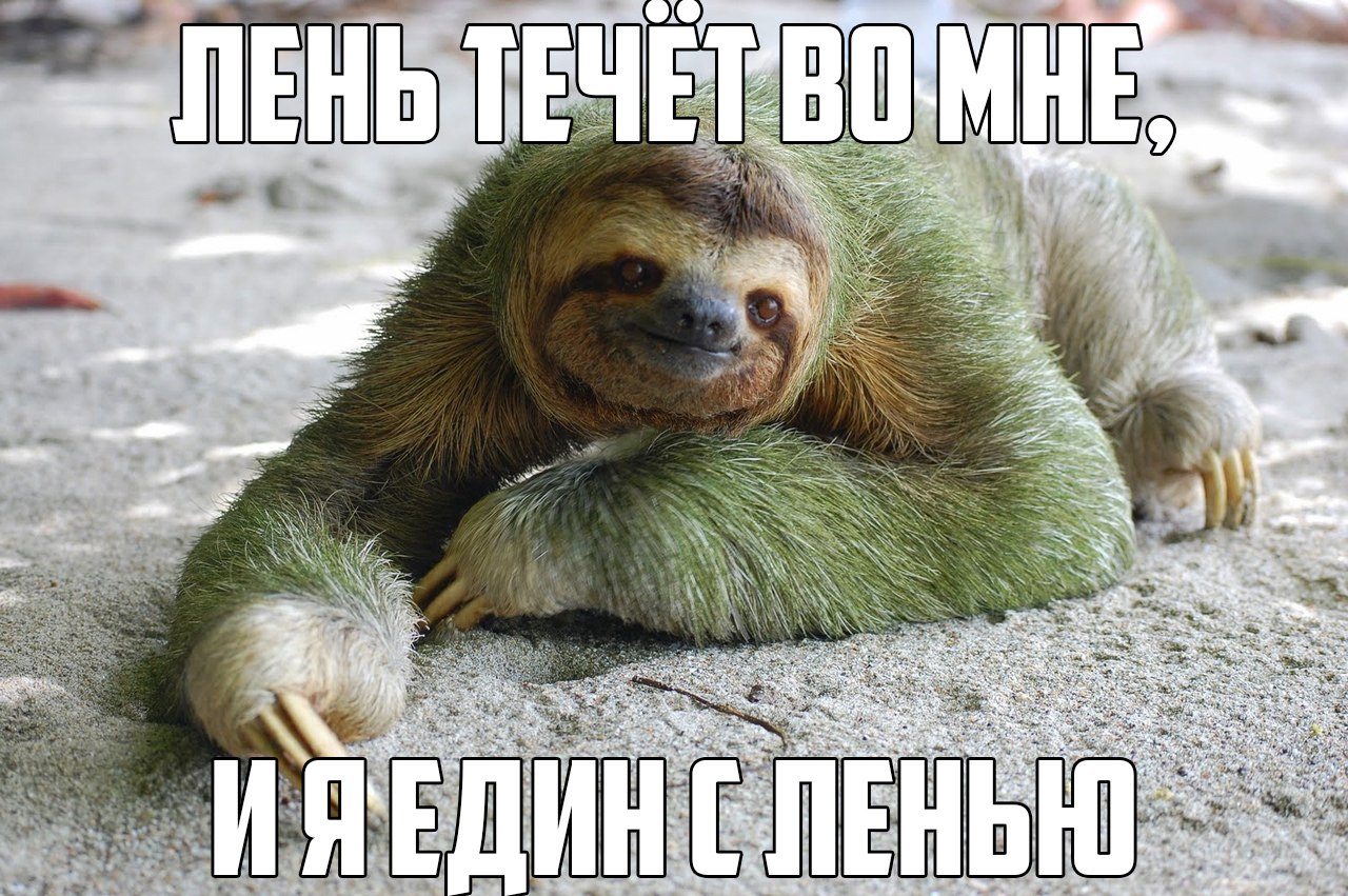 единзтво з ленью))))