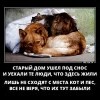 Старый дом ушел под снос...