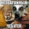 незбагойный чебугег))))) незбагойный чебугег)))))