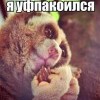 я узбагоилзя)))) я узбагоилзя))))