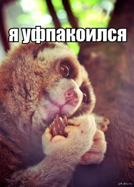 я узбагоилзя))))