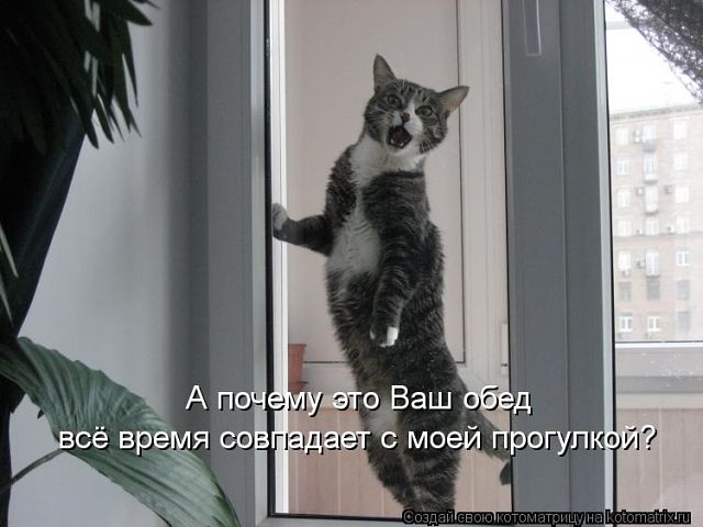 )))