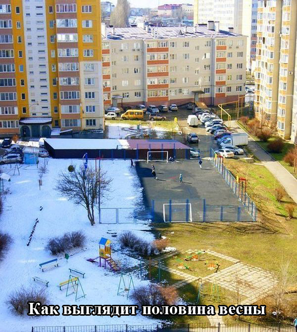 Половины весны