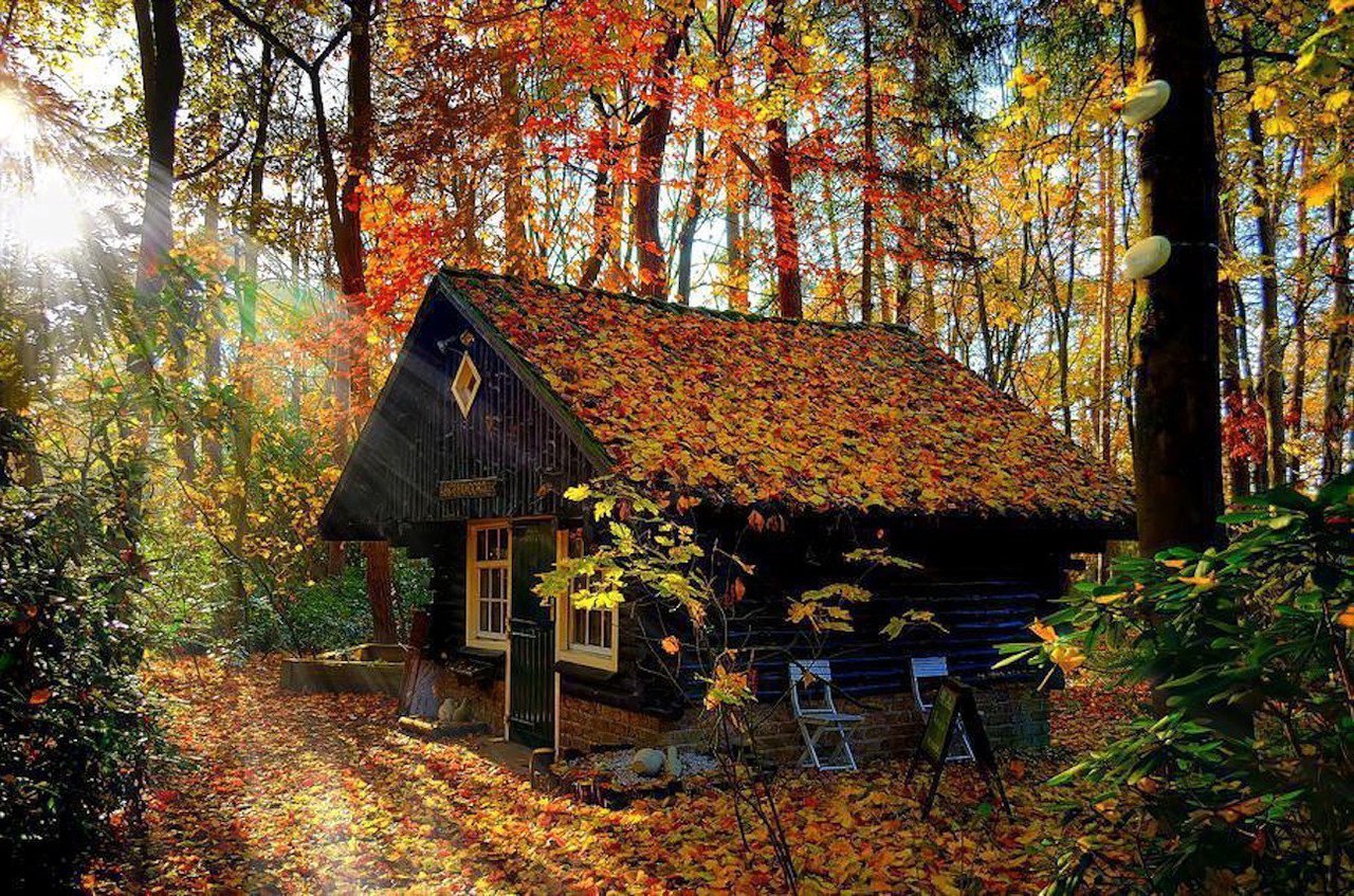 23d5df1d2b82d0cbfc190d5fa71