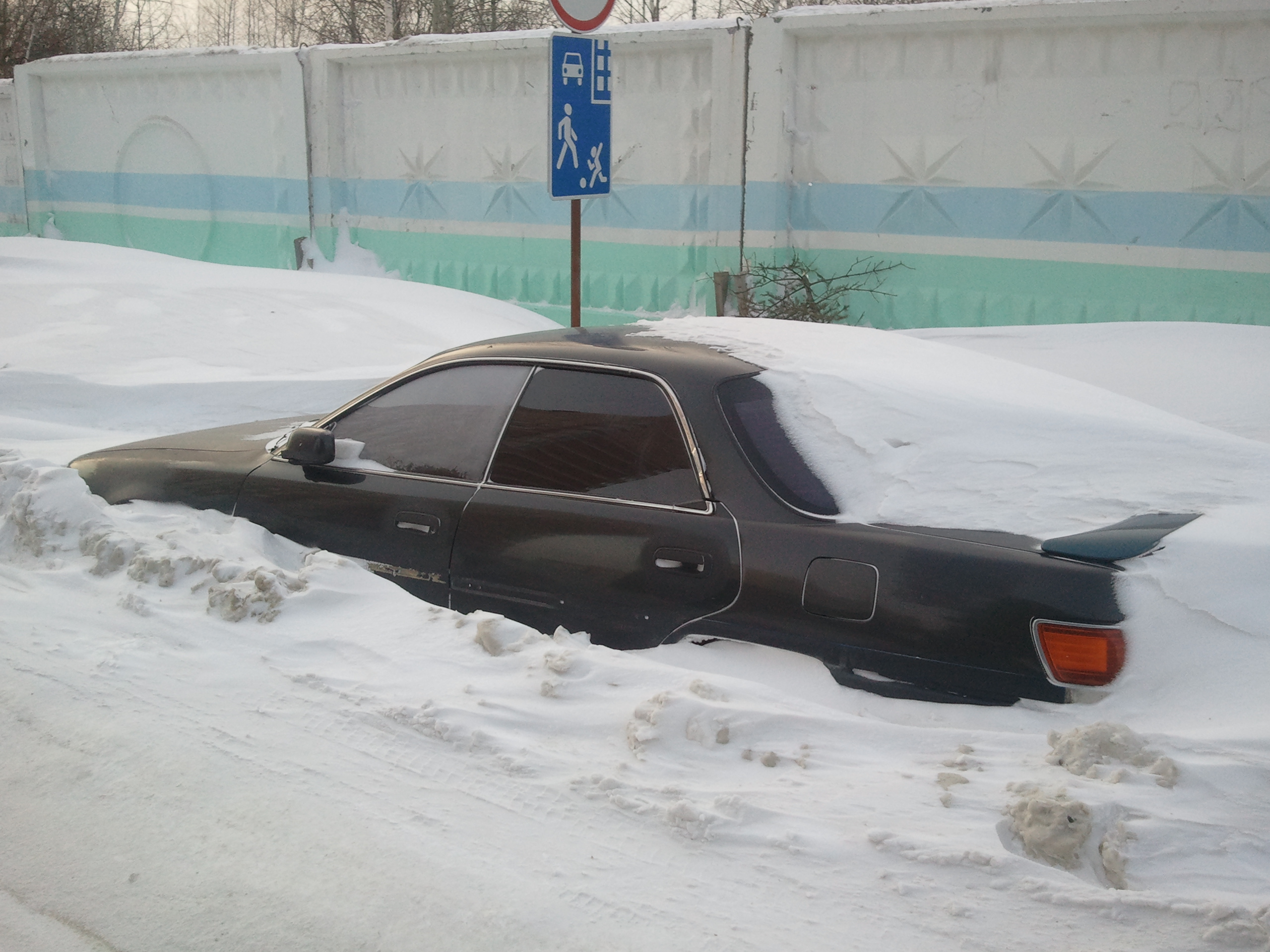 Природное противоугонное устройство
