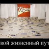 Жизненный путь