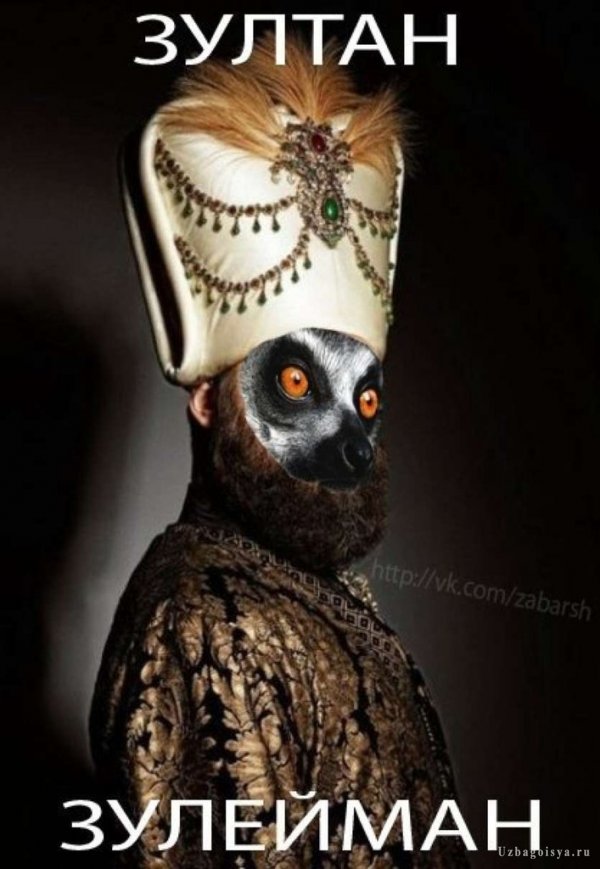 зулдан зулейман))))))