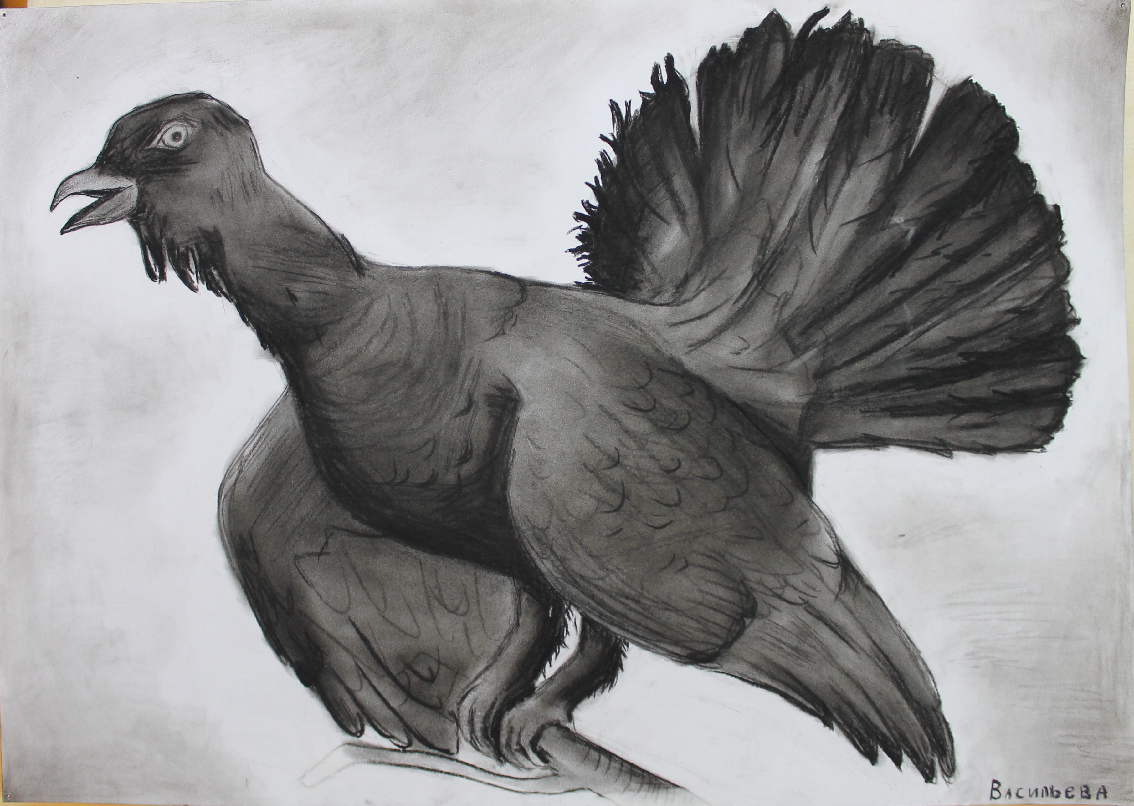 1Васильева Яна